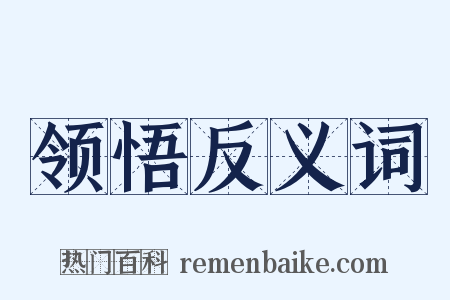 领悟反义词是什么意思的图片